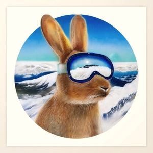 Meet your Posher, Staci